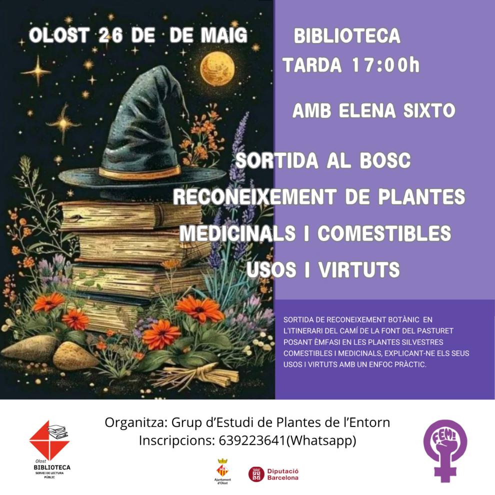 Sortida de reconeixement de plantes silvestres comestibles i medicinals